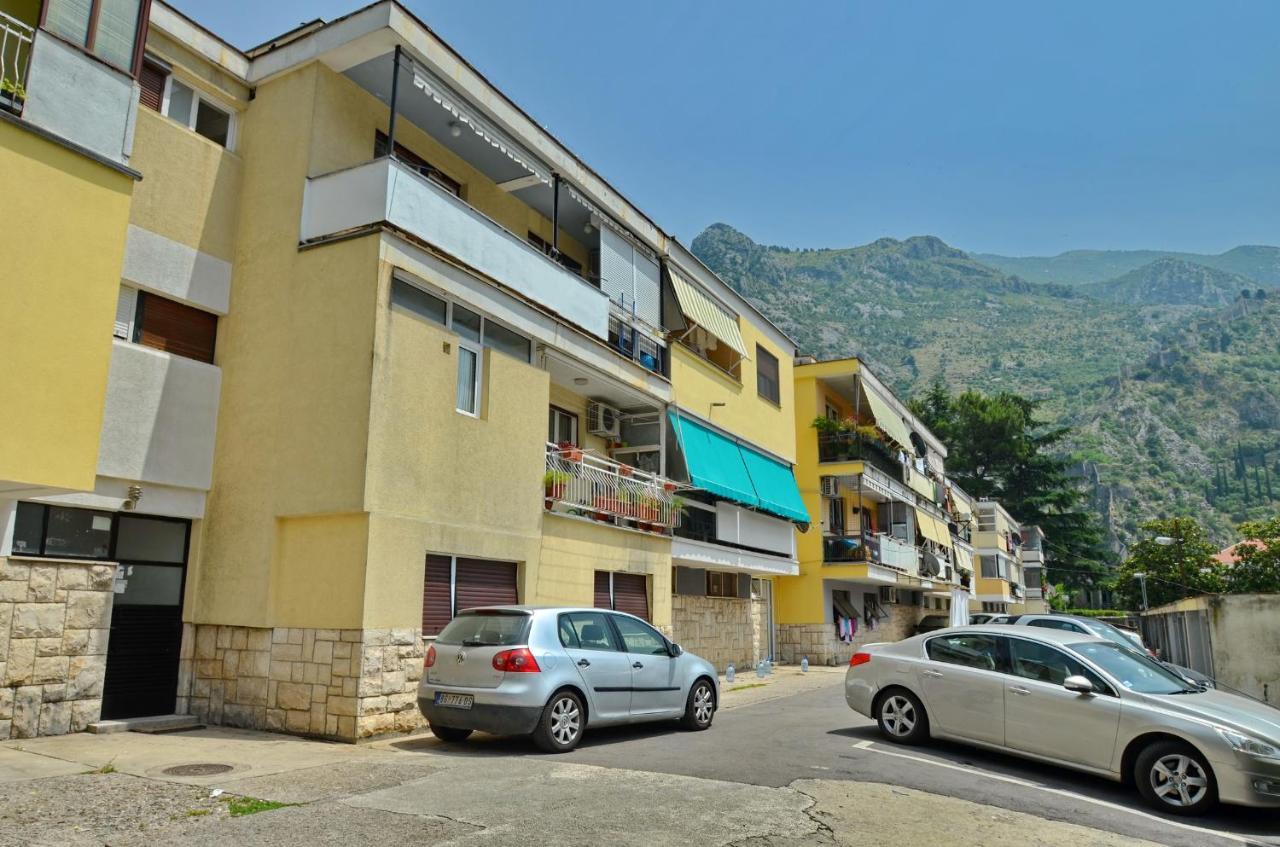 Apartment Oaza كوتور المظهر الخارجي الصورة