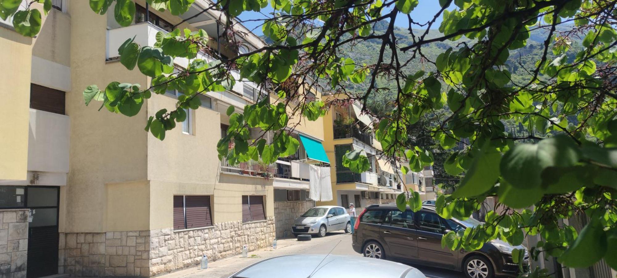 Apartment Oaza كوتور المظهر الخارجي الصورة